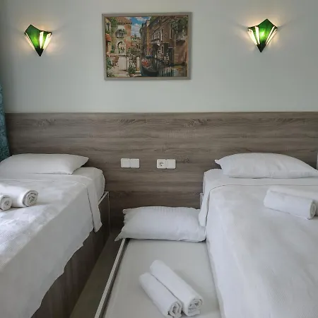 Mico Hotel 3*